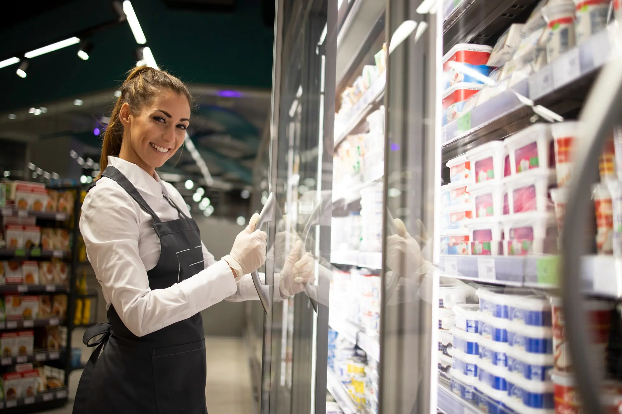 Commercial Chest Freezers