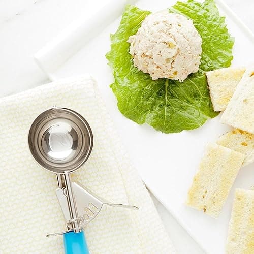 Portion Control Scoop
