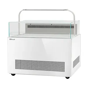 Turbo Air TOS-50NN-D-W 50-1/4" Horizontal Open Air Sandwich & Cheese Merchandiser w/ (1) Level, 115v