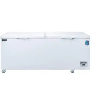 BD/BG-760 Commercial Chest Freezer